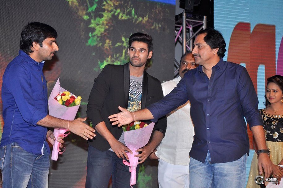 Seethamma-Andaalu-Raamayya-Sithraalu-Movie-Audio-Launch